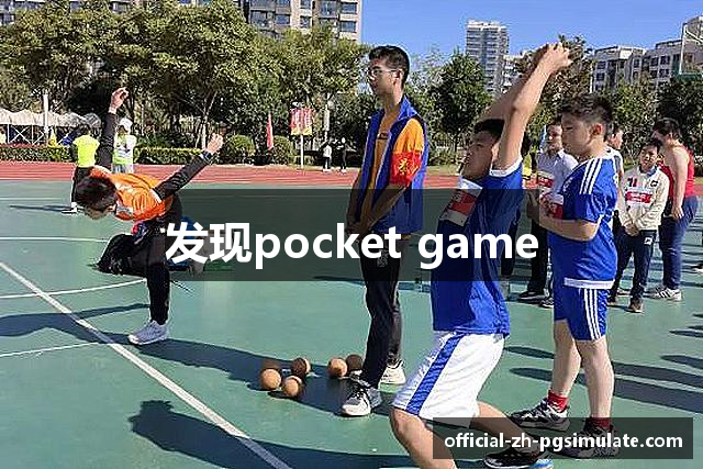 发现pocket game